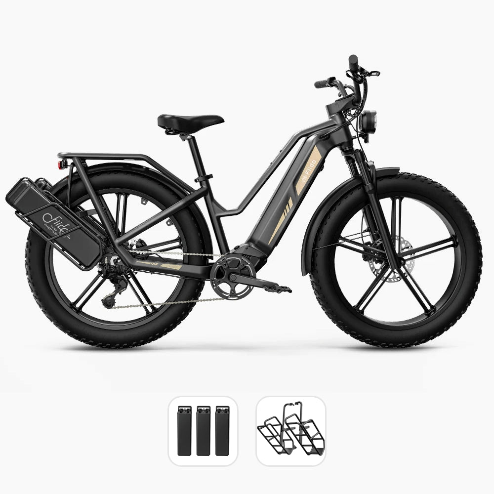 Fiido Titan Robust Cargo Electric Bike with Torque Sensor and UL certified