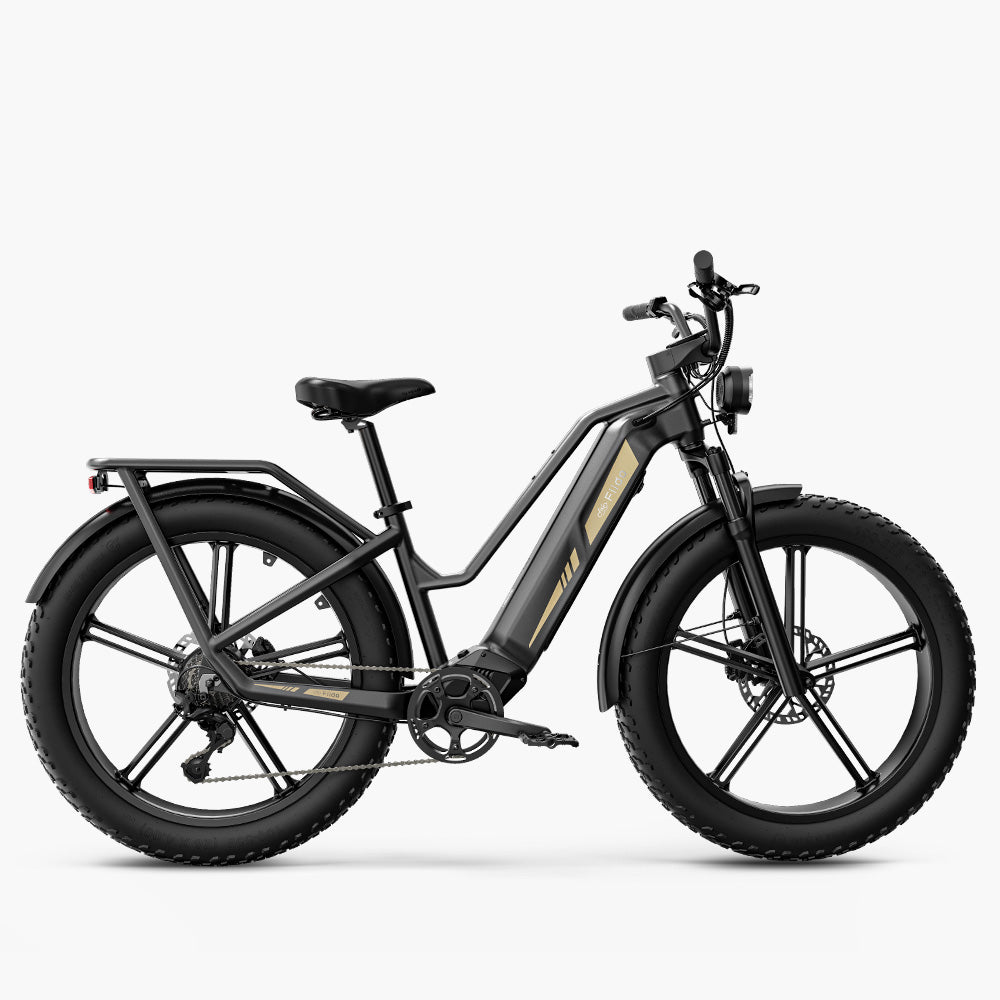 Fiido Titan Robust Cargo Electric Bike with Torque Sensor and UL certified